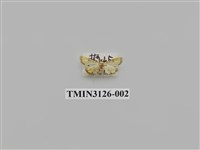 藏品(螟蛾245)的圖片